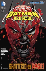 BATMAN AND RED HOOD #20